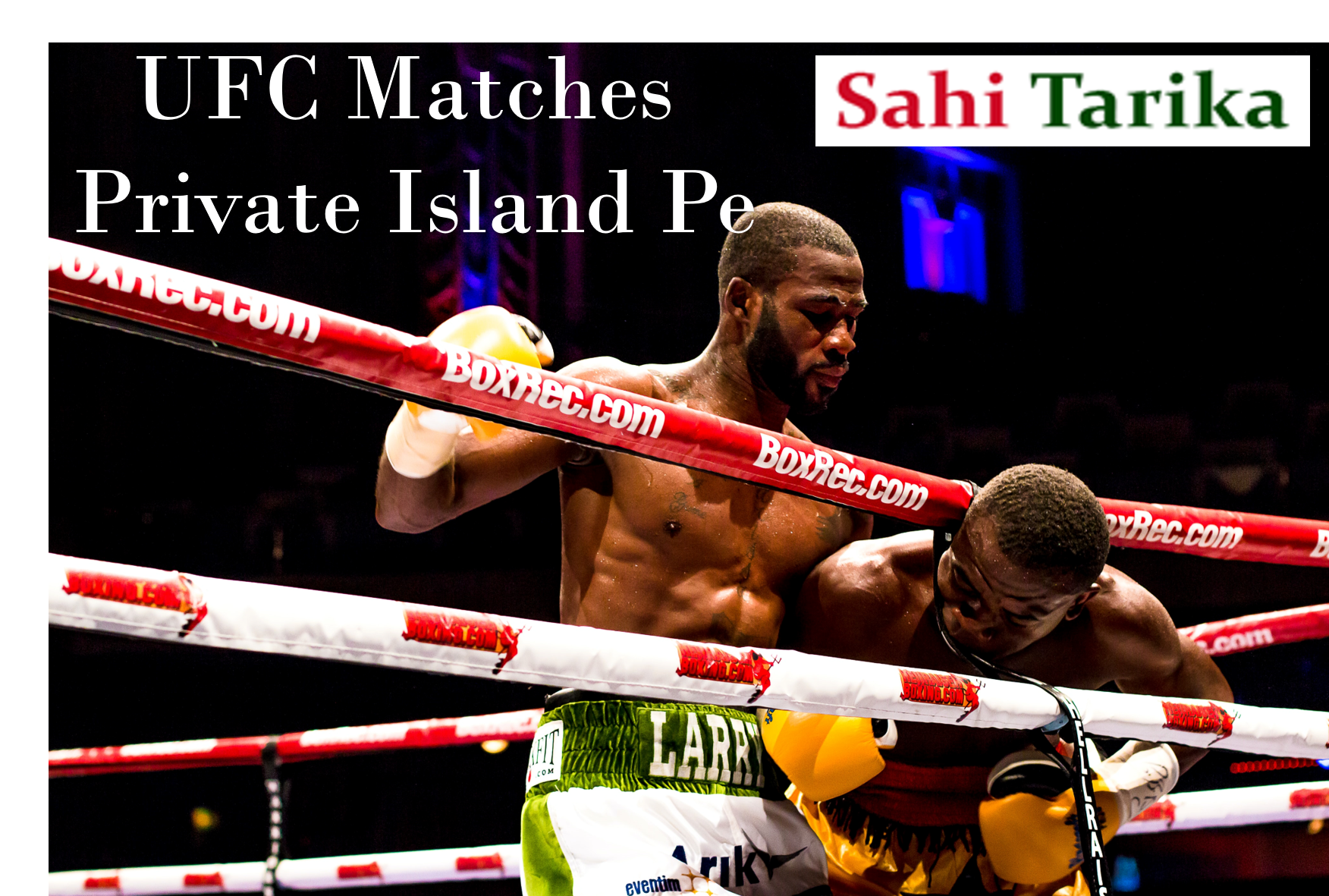 Photo of UFC -Ultimate Fighting Championship Ke Sare Match Private Island Pe
