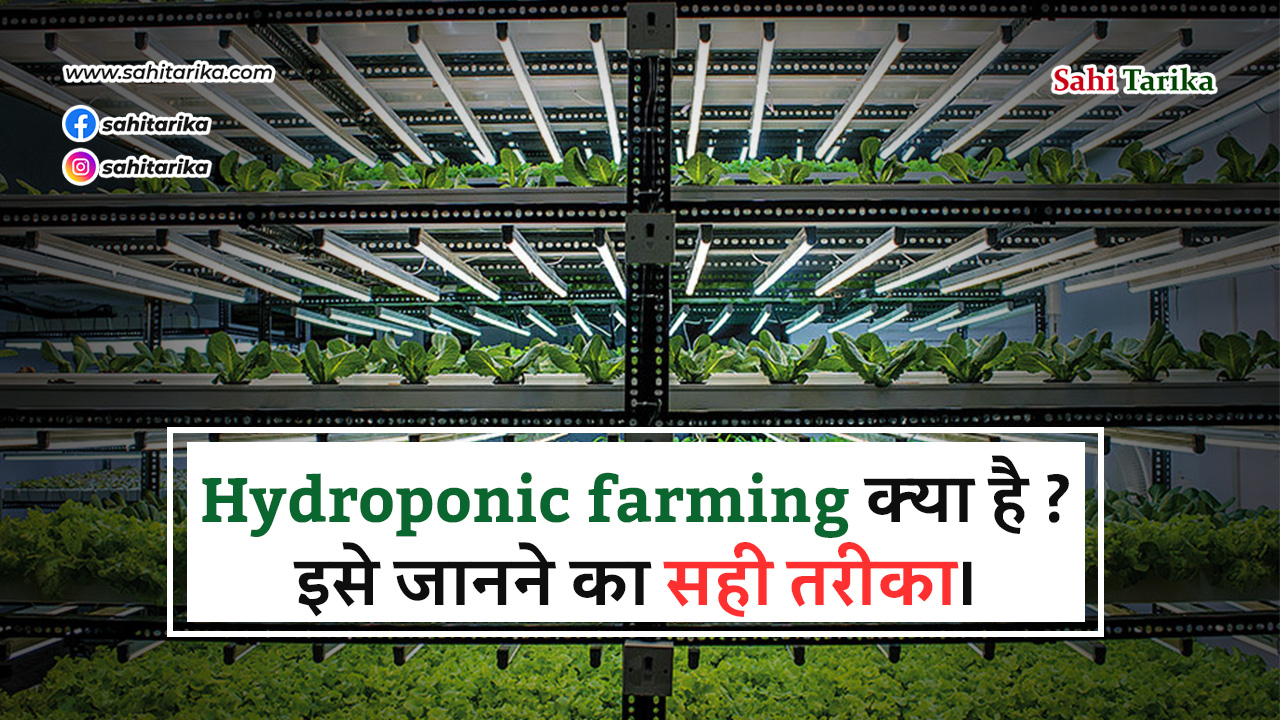 Photo of Hydroponic farming क्या है ? इसे जानने का सही तरीका।