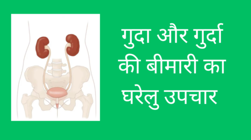 गुदा और गुर्दा की बीमारी का घरेलु उपचार