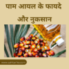 पाम आयल के फायदे और नुकसान