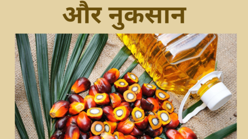 पाम आयल के फायदे और नुकसान